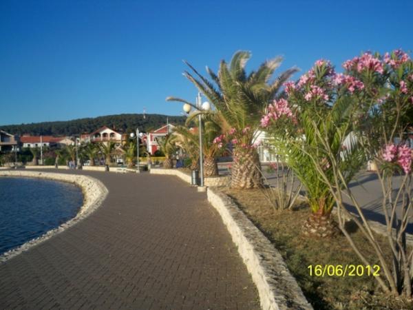Apartment Ante Bibinje Exterior photo